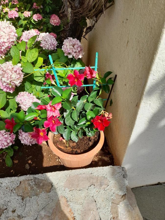 Apartmani Sekana Starigrad Paklenica Exterior foto